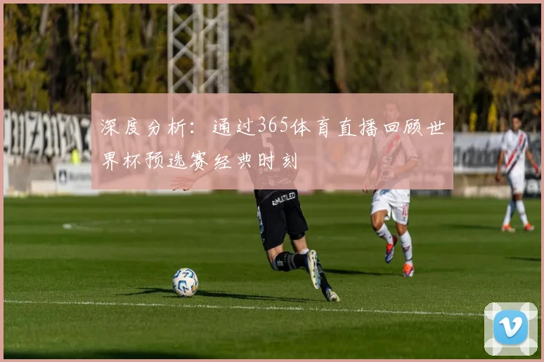 深度分析：通过365体育直播回顾世界杯预选赛经典时刻