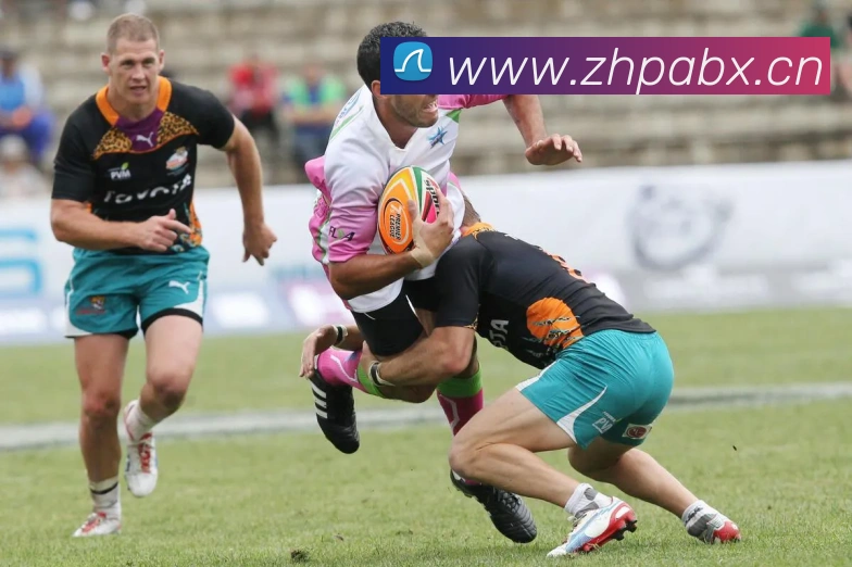 米兰体育网页官网APP 封面图